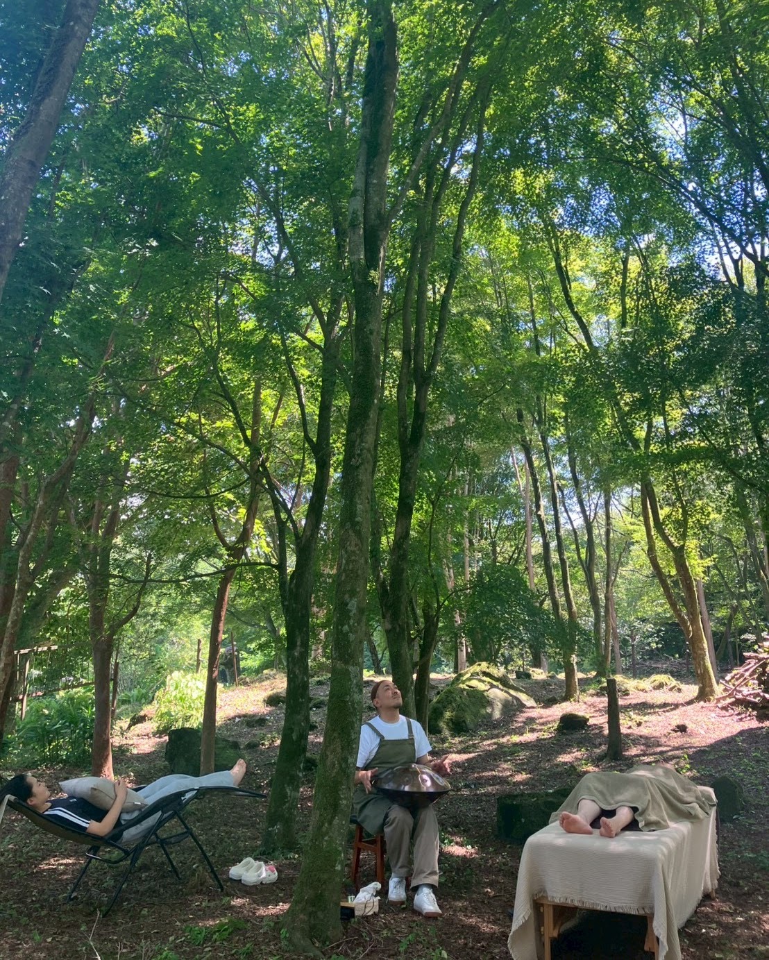 Maple, Shizuoka